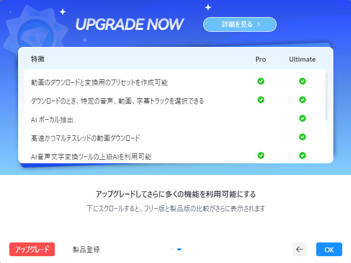 Any Video Converter 無料版の制限
